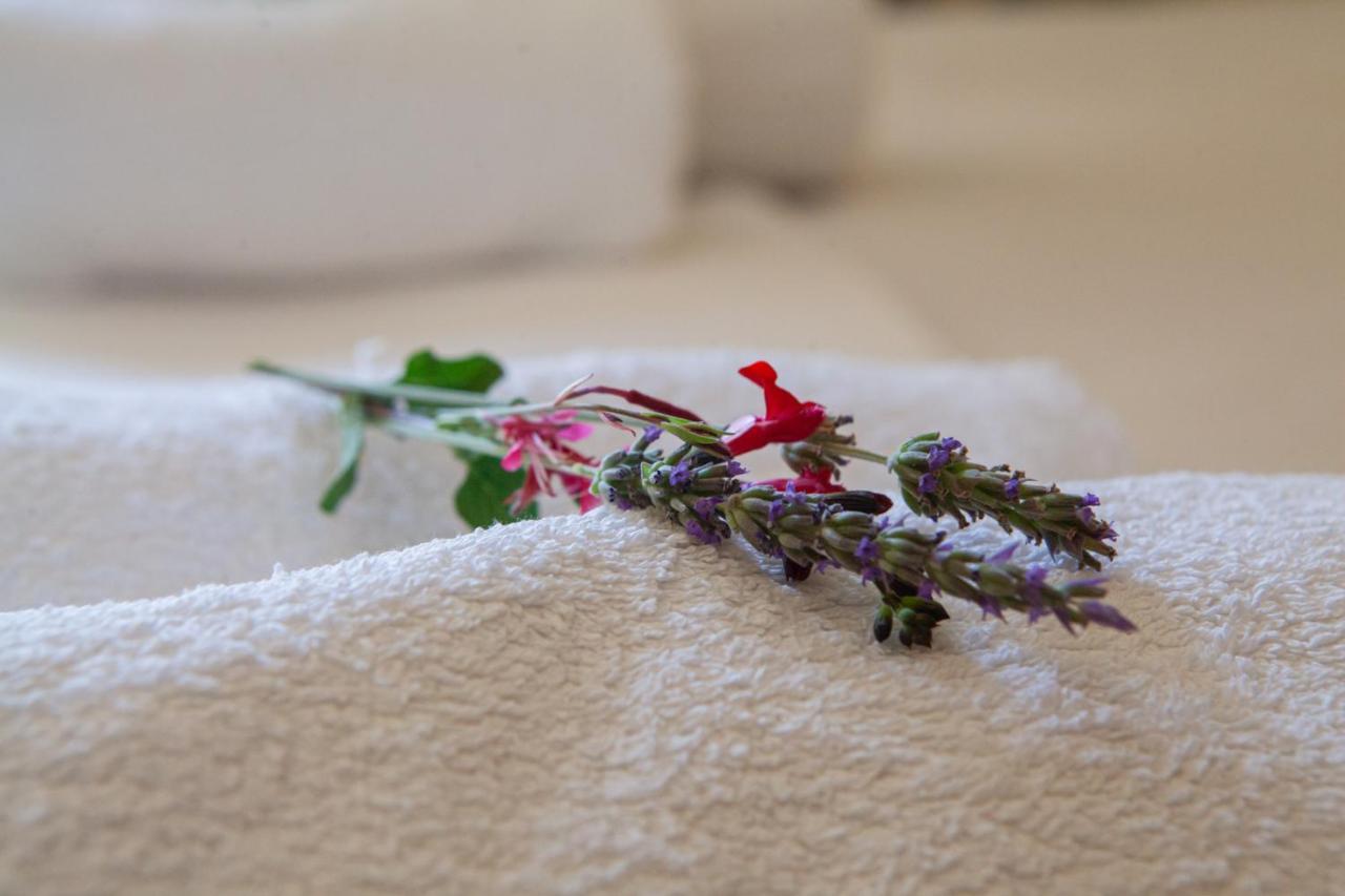 Hotel Loula Rooms And Apartments Kamena Vourla Ngoại thất bức ảnh